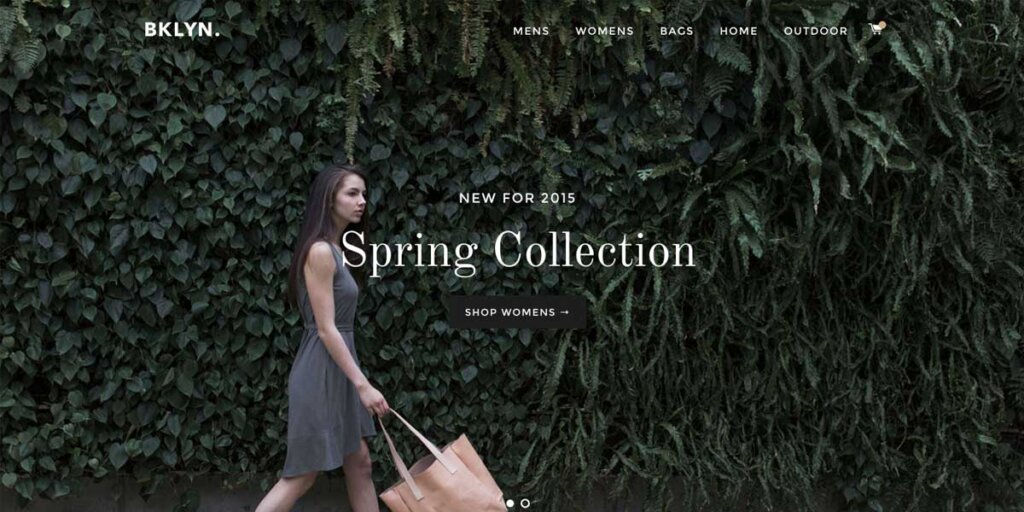 Shopify Banner Brooklyn Theme